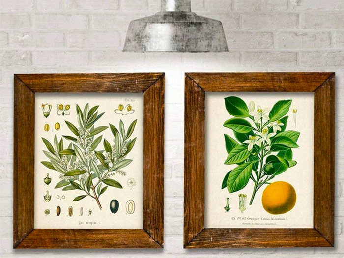 Unique illustrated prints to hang around the house