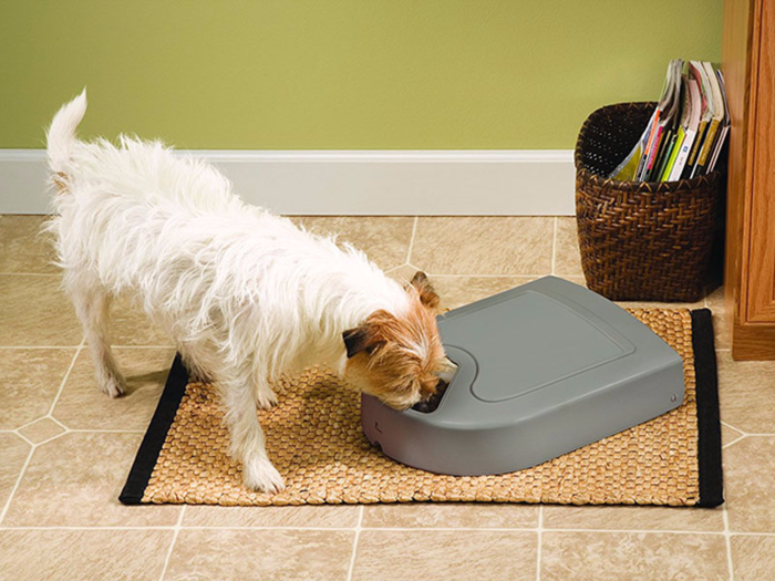 An automatic pet feeder that will help with portion control, so you can feel less guilty about late nights at the office.