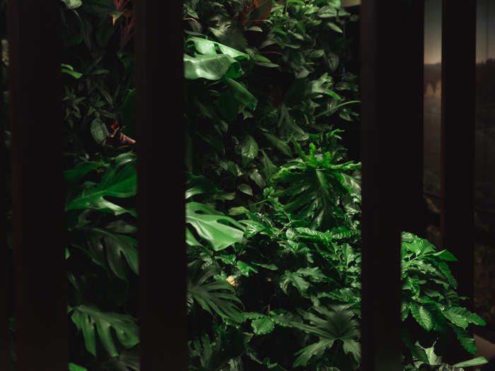 Near the restrooms, the Roastery has a "plants of Costa Rica" display, highlighting plants native to the area where Starbucks grows its coffee.