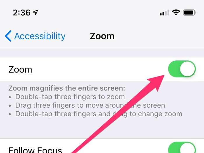 In the Zoom settings, make sure Zoom is enabled, and check that you have Zoom Region set to "Full Screen Zoom." That