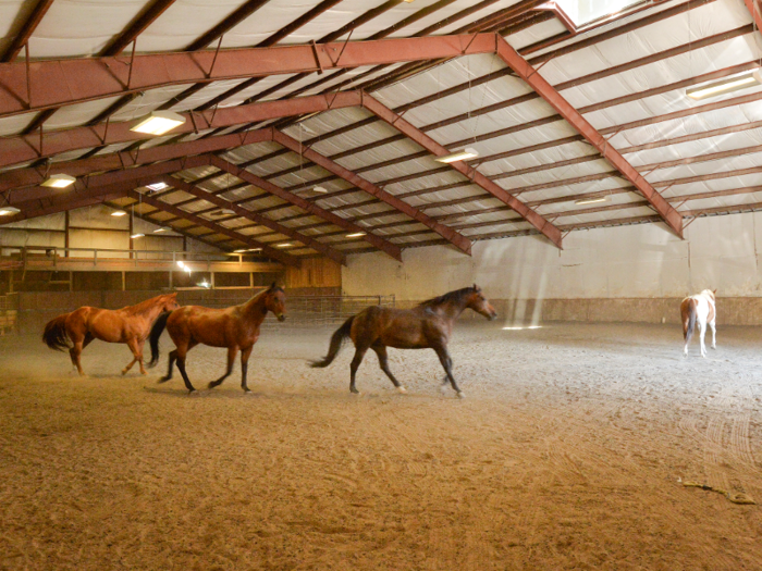 ... and indoor riding arena.