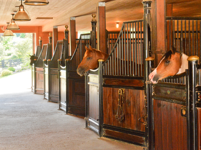 The home is ideal for horse lovers, with its 20-stall barn ...