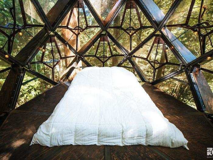 The treehouse rents for $350 a night on Airbnb.