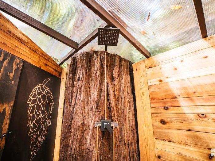 Even the shower provides views of the forest canopy.