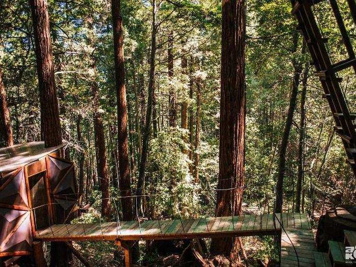 To get to the pinecone-shaped structure, visitors have to ascend a steep ladder and pass through a trap door.