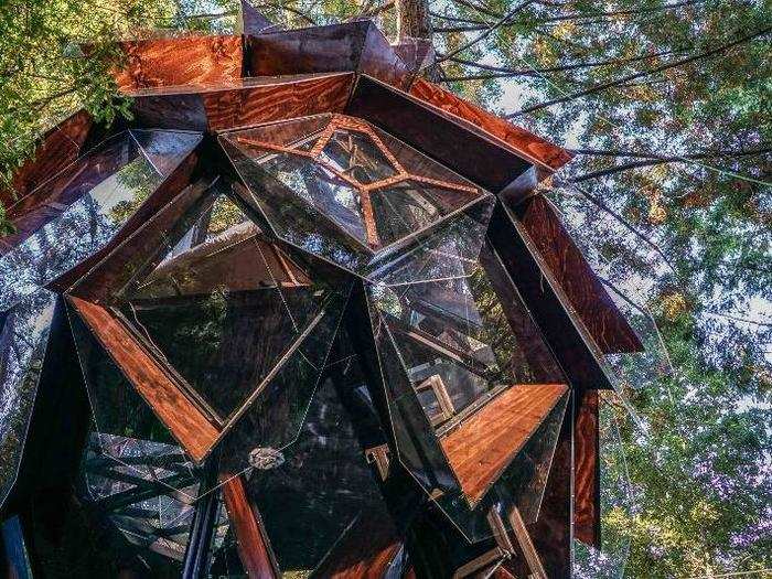 Transparent glass windows offer stunning views of the California Redwoods.