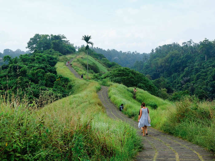 Instead I opted to do the Campuhan Ridge Walk, one of the most popular hikes in the Ubud area. It takes you along a high ridge between two rivers.