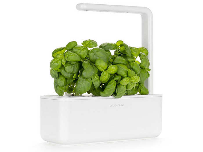 Year-round access to fresh herbs