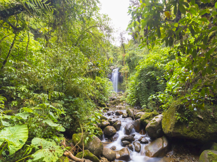 July — Boquete, Panama