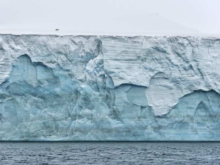 Near the top of the world, in Franz Josef Land, Russia, polar bears rule the ice.