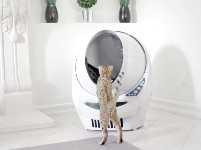 A self-cleaning litter box