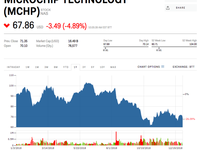 12. Microchip Technology