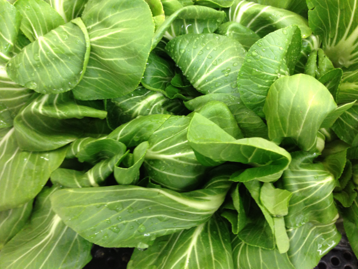 Buy: Organic bok choy