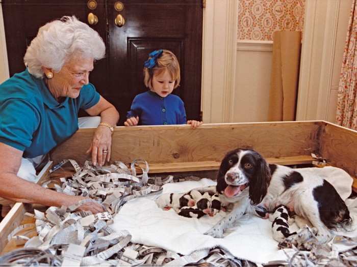 Though presidents are commonly known to have dogs while in office, the White House has been home to a number of exotic pets including Tad Lincoln