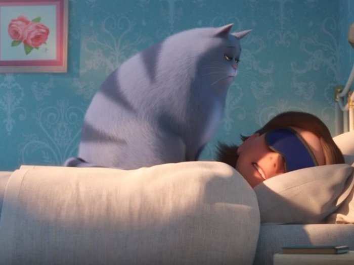 “The Secret Life of Pets 2” — June 7