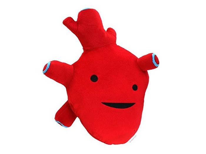 A real heart stuffed-animal