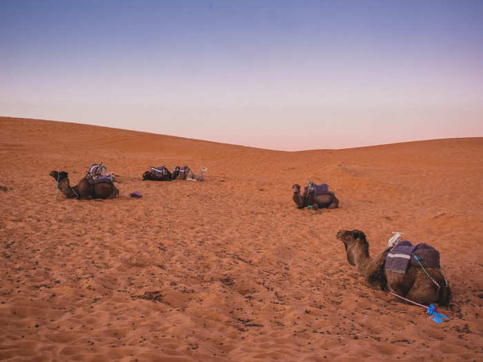 I slept barricaded under three or four blankets. I was warm, but the air around me was frigid. I woke before sunrise easily. The camels were already awake.