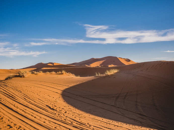 Unfortunately, when I visited, the dunes were far from immaculate. The dunes were covered with the tracks 4x4 trucks and ATVs zipping around on desert excursions. I could hear them as I rode. It messes with the solitude one expects to feel in the desert, but I couldn