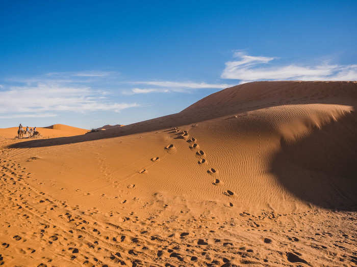 You can spot the hoof and paw marks of the camels and wild animals like jerboa, desert hedgehogs and fennec. Not that you