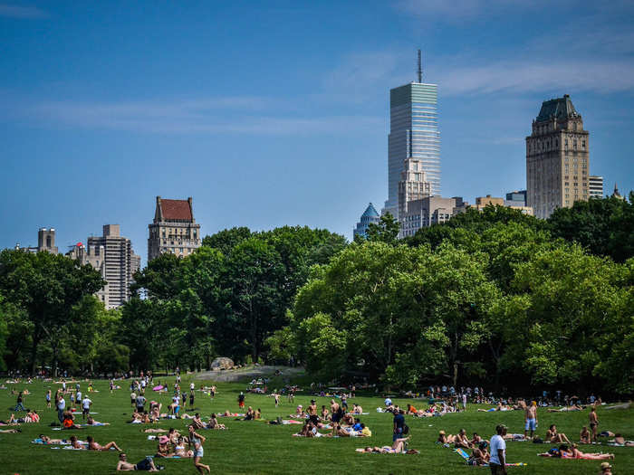 New York City banned cars from Central Park.