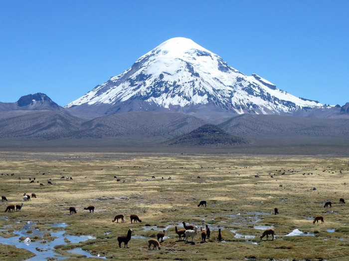 13. Bolivia — Sajama, 21,463 feet