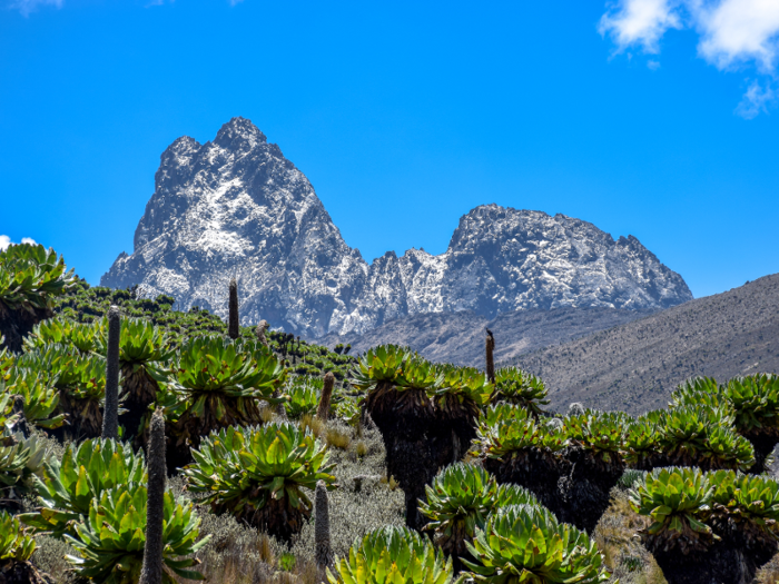 24. Kenya — Mount Kenya, 17,057 feet