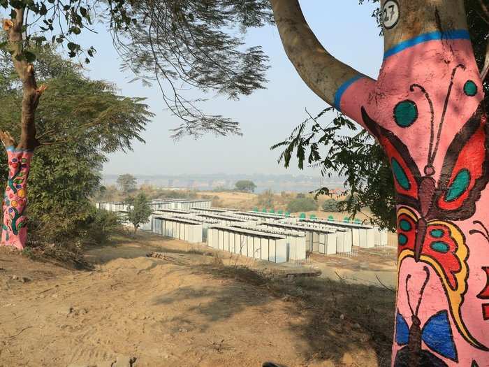 The city of Prayagraj has undergone colourful transformation with its walls and trees taking on different hues