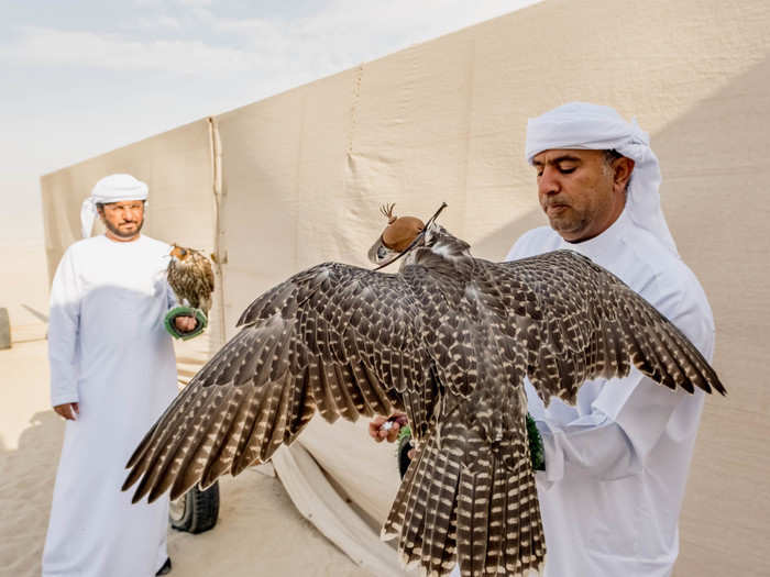 "People think training falcons is a game. But in the UAE, the falcon is a revered creature. It