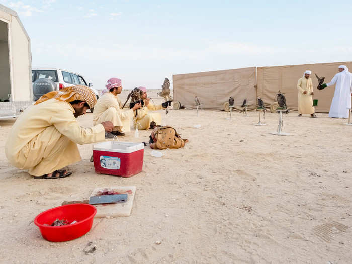 About halfway through the morning training, I observed the workers setting up an assembly line to feed and tend to the falcons. Whereas falconers in the past used to own one or two falcons, many club members today own four, five, or even 50 birds. The club will only train five falcons per member a day, but that