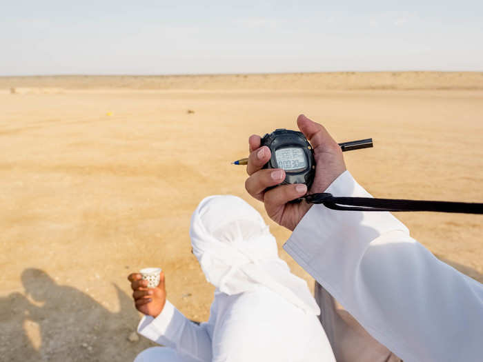 Typically, a gyrfalcon can reach 90 miles per hour flying in a straight path horizontally and 130 mph while diving. A peregrine falcon can reach up to 68 mph horizontally and up to 242 mph while diving. It