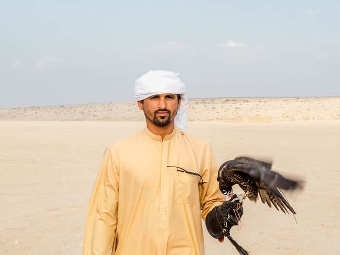 The UAE has banned wild falcons and all falcons must have documents to certify they aren