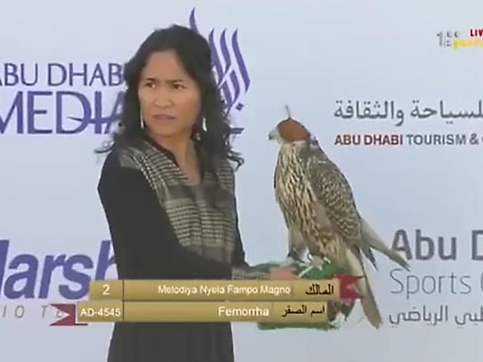 Falcon ownership has skyrocketed in the UAE and, while falconry has traditionally been male-dominated, Emirati Ayesha Al-Mansoori and South African falconer Angelique Engels started a women