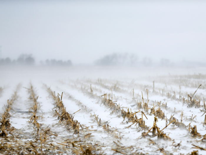 39. Nebraska