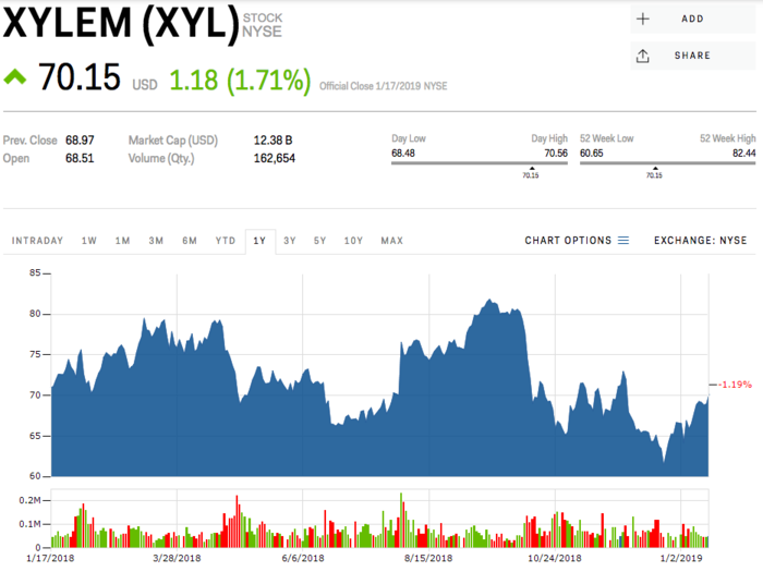 5. Xylem