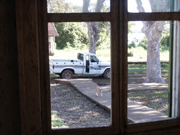 ... Fordlandia is currently home to some 3,000 Brazilians.