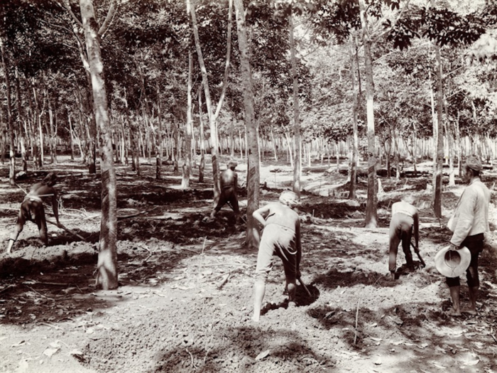 All of a sudden, Britain had replaced Brazil as the titan in the rubber trade, which worried Ford.