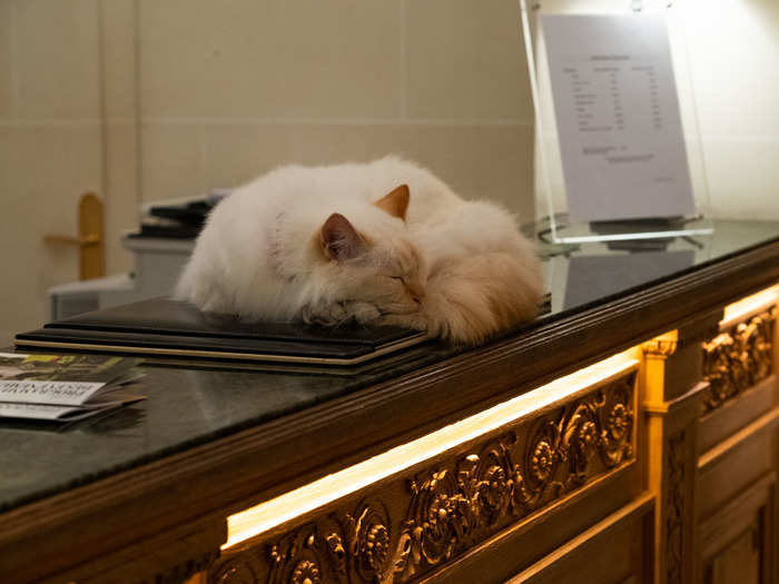 The hotel also has a full-time resident: A cat named Fa-Raon (French for "Pharaoh"), who hangs out on the main floor and can be found snoozing on a desk or greeting guests.