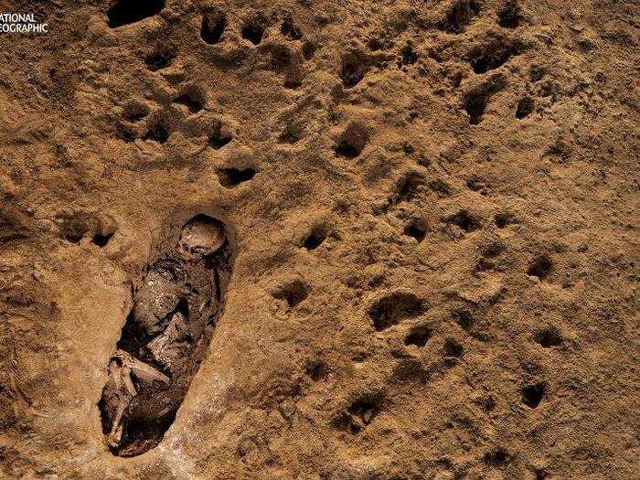 Footprints of sandaled adults, barefoot children, and young llamas paint a picture of the mass killing event in a dried mud layer.