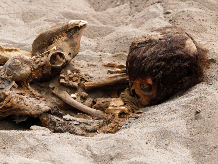 Alongside the children, archaeologists found three dead adults.