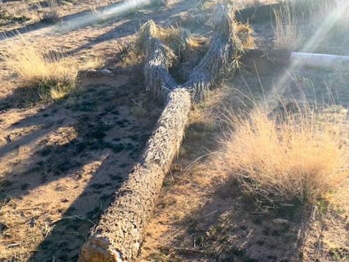 Some national parks sustained extensive damage.