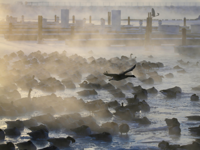 Sometimes during the winter, streams of air from that Arctic vortex move south towards the US and Canada.