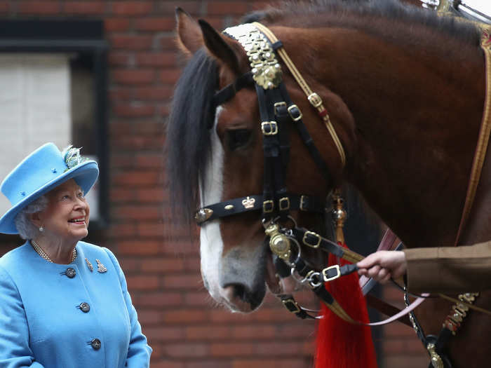 2017: Her Majesty made friends with a horse during an official visit to the Household Cavalry Mounted Regiment at Hyde Park, London in October.