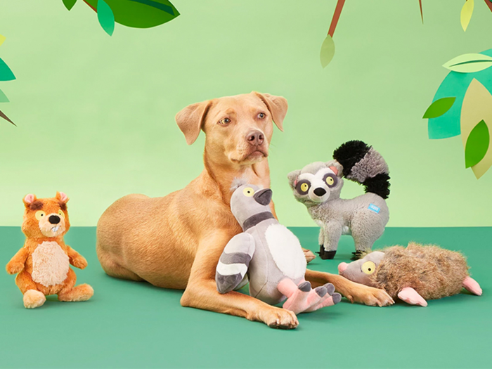 Dog toys and treats: BarkBox