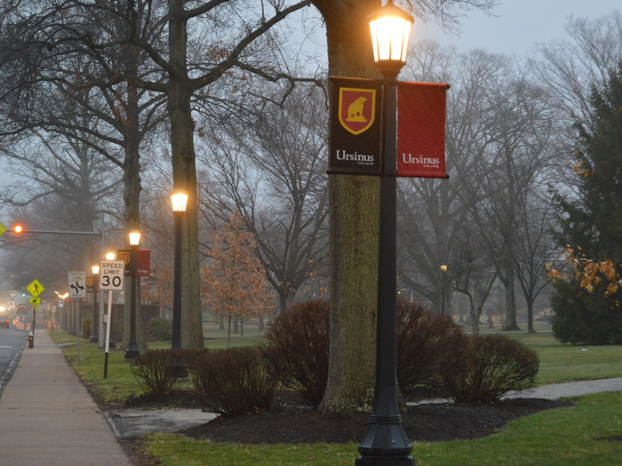 29. Ursinus College