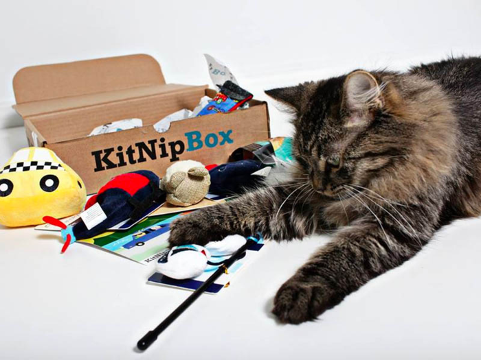 KitNipBox