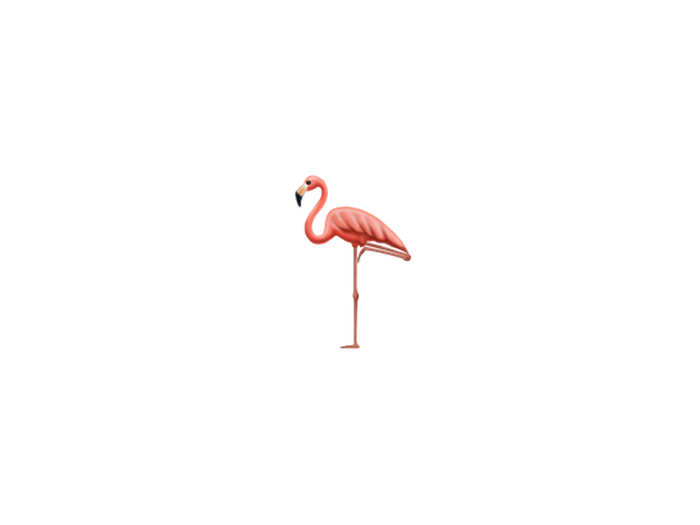 Flamingo