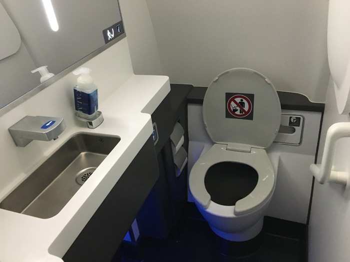 ... Are the economy cabin lavatories. The one on the right side of the plane is pretty standard fare.