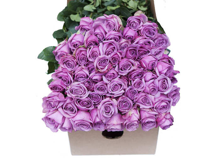 A unique bouquet of purple roses