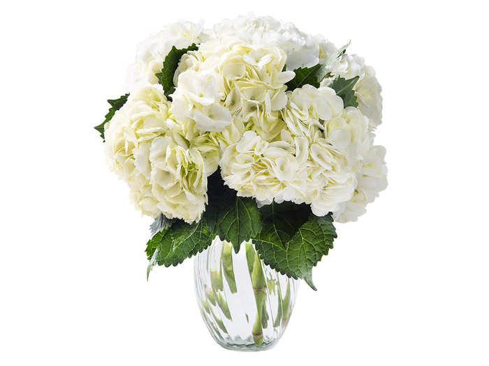 White hydrangeas