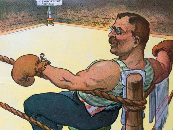 Theodore Roosevelt: boxing